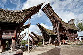 Pallawa - Traditional tongkonan house.