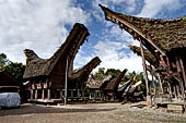 Pallawa - Traditional tongkonan house.
