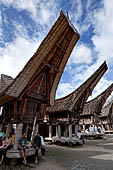 Pallawa - Traditional tongkonan house.
