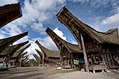 Pallawa - Traditional tongkonan house.