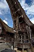 Pallawa - Traditional tongkonan house.