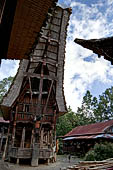 Pallawa - Traditional tongkonan house.