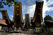 Pallawa - Traditional tongkonan house. 