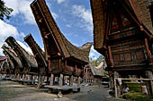 Pallawa - Traditional tongkonan house. 