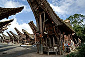 Pallawa - Traditional tongkonan house. 