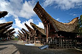 Pallawa - Traditional tongkonan house. 