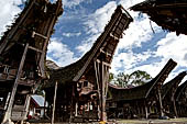 Pallawa - Traditional tongkonan house.