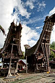 Pallawa - Traditional tongkonan house.