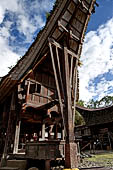 Pallawa - Traditional tongkonan house.
