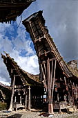 Pallawa - Traditional tongkonan house.
