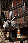 Pallawa - Traditional tongkonan house. The front of the house usually has a carved buffalo head and a collection of genuine buffalo horns.