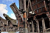 Pallawa - Traditional tongkonan house. 
