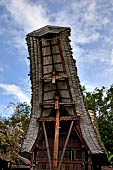 Pallawa - Traditional tongkonan house. 