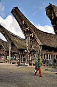 Pallawa - Traditional tongkonan house. 