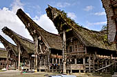 Pallawa - Traditional tongkonan house. 