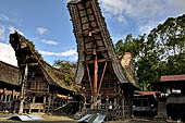 Pallawa - Traditional tongkonan house. 