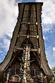 Pallawa - Traditional tongkonan house. The front of the house usually has a carved buffalo head and a collection of genuine buffalo horns. 