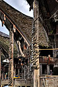 Pallawa - Traditional tongkonan house. 