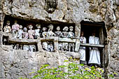 Suaya village, king's stone memorial graves, bodies placed in rock-hewn niches behind wooden effigies of the dead (known as tau tau) 