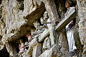 Suaya village, king's stone memorial graves, bodies placed in rock-hewn niches behind wooden effigies of the dead (known as tau tau) 