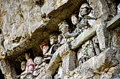 Suaya village, king's stone memorial graves, bodies placed in rock-hewn niches behind wooden effigies of the dead (known as tau tau) 