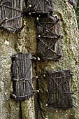 Suaya - baby graves in trees 