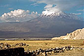 Dogubayaz�t, il Grande Ararat (B�yiik Agri) 5137 m. 