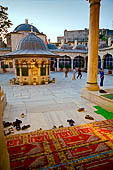 Istanbul, Sokollu Mehmet Pasa Camii 