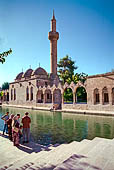 Urfa, il Baliklig�l, il complesso della Moschea Rizvaniye sulla riva settentrionale del Lago Halil�rrahman, il lago delle carpe sacre. 
