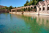 Urfa, il Baliklig�l, Lago Halil�rrahman, il lago delle carpe sacre 