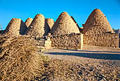 Harran, le case ad alveare. 