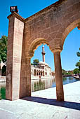 Urfa, il Baliklig�l, Lago Halil�rrahman, il lago delle carpe sacre. 