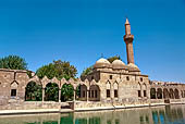 Urfa, il Baliklig�l, la Moschea RIzvaniye sulla riva settentrionale del Lago Halil�rrahman, il lago delle carpe sacre. 