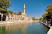Urfa, il Baliklig�l,  Lago Halil�rrahman, il lago delle carpe sacre con la Moschea R1zvaniye.