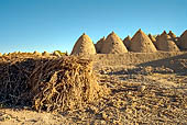 Harran, le case ad alveare.