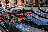 Venezia, gondole parcheggiate nel Bacino Orseolo dietro piazza San Marco.